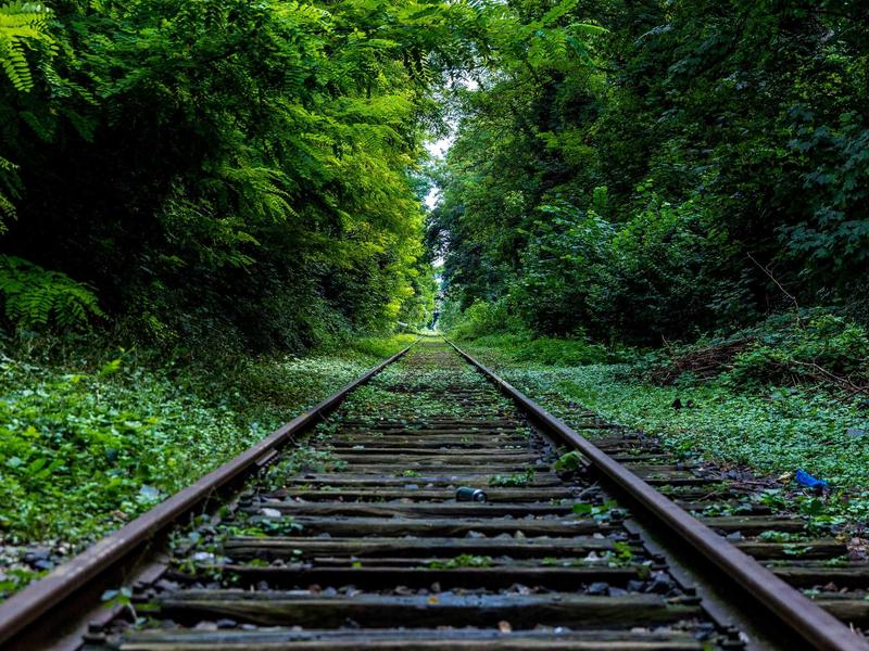 火炬之光3最强职业